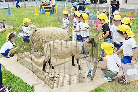 移動動物園